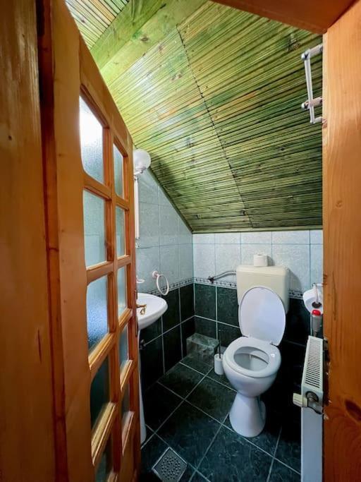 Cabanita Villa Intorsura Buzaului Luaran gambar